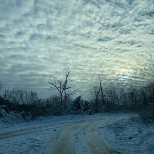 Meet your Posher, Millie